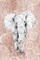 Pink Paisley Elephant Poster Print by Eva Watts - Item # VARPDXEW234A